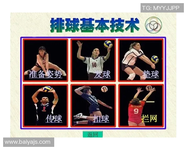 广州排球队反击战术解析与实战应用研究